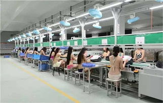 以“超級(jí)性感工廠”破局 一探商務(wù)信息咨詢的顛覆性策略